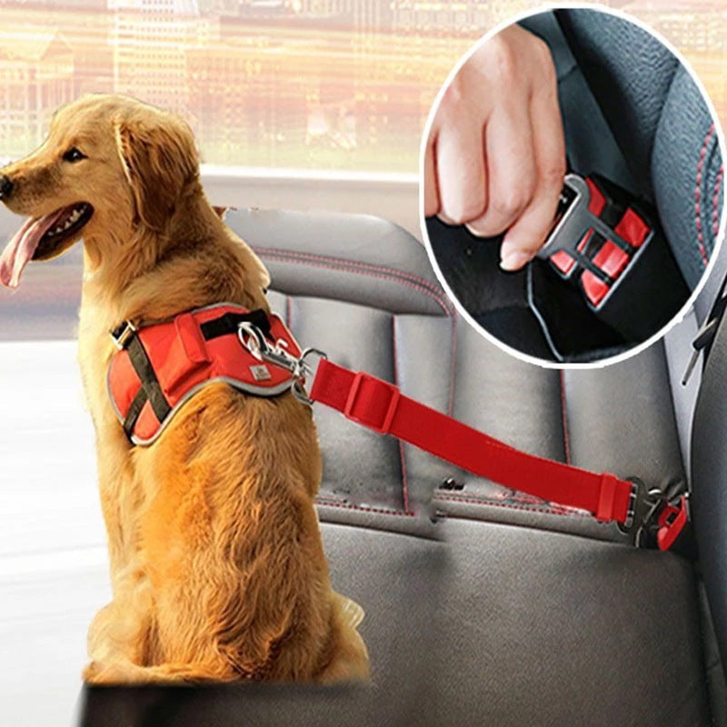 Dogs Accessoires Pets Products - bestonline-shopping